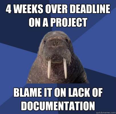 4 weeks over deadline on a project blame it on lack of documentation  Web Developer Walrus