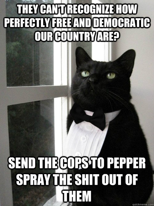 they can't recognize how perfectly free and democratic our country are? send the cops to pepper spray the shit out of them  One Percent Cat