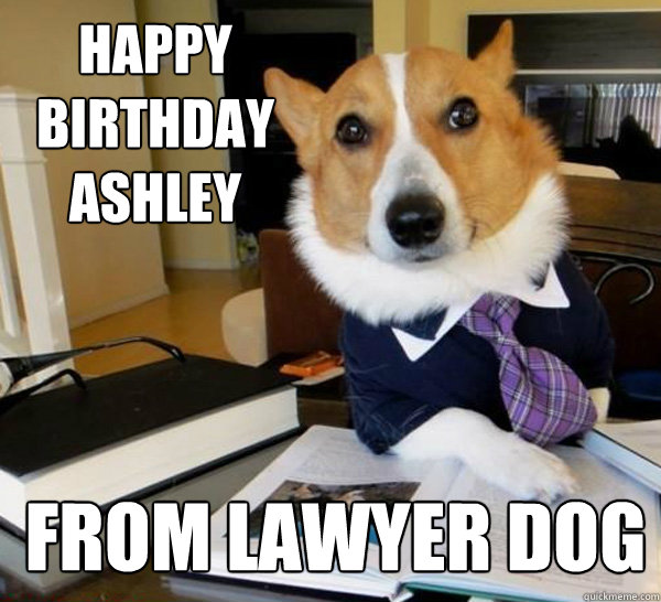 Happy Birthday Ashley from Lawyer Dog - Happy Birthday Ashley from Lawyer Dog  Lawyer Dog