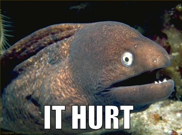  IT HURT Bad Joke Eel