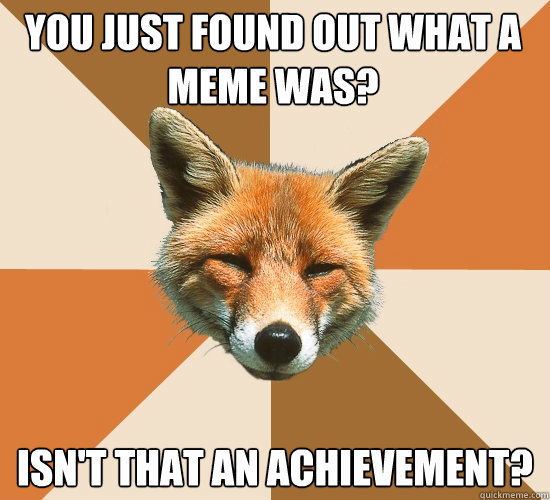 You just found out what a meme was? isn't that an achievement?  Condescending Fox