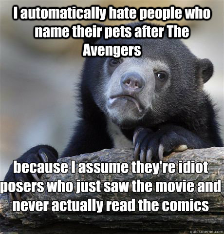 I automatically hate people who name their pets after The Avengers because I assume they're idiot posers who just saw the movie and never actually read the comics growing up   Confession Bear