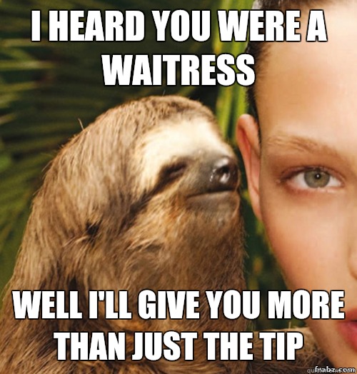 I heard you were a waitress Well I'll give you more than just the tip  rape sloth