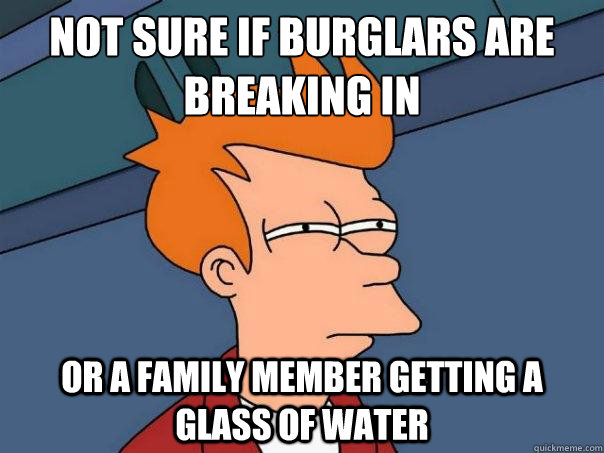 not sure if burglars are breaking in Or a family member getting a glass of water  Futurama Fry