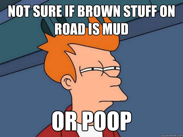 Not sure if brown stuff on road is mud or poop  Futurama Fry