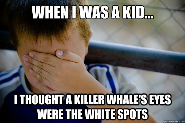 When I was a kid... I thought a killer whale's eyes were the white spots  Confession kid