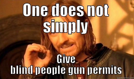 ONE DOES NOT SIMPLY GIVE BLIND PEOPLE GUN PERMITS Boromir