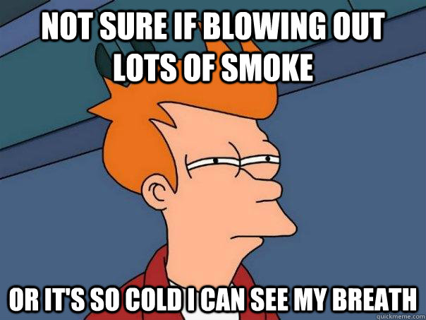 Not sure if blowing out lots of smoke Or it's so cold i can see my breath  Futurama Fry