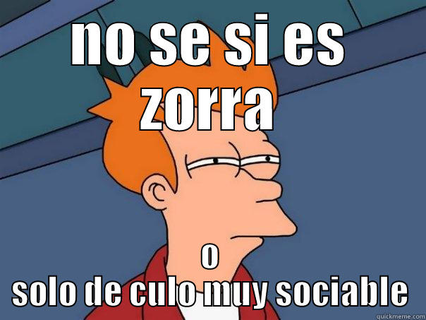 NO SE SI ES ZORRA O SOLO DE CULO MUY SOCIABLE Futurama Fry