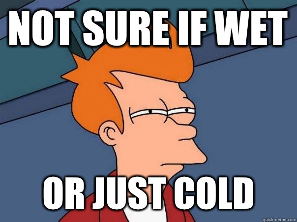 Not sure if wet or just cold - Not sure if wet or just cold  Futurama Fry