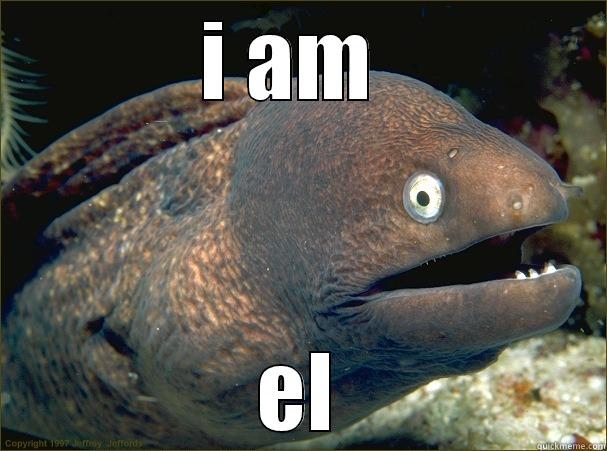 I AM  EL Bad Joke Eel