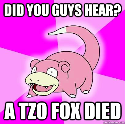 Did you guys hear?  a TZO fox died  Slowpoke