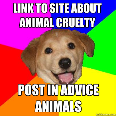 Link to site about animal cruelty Post in advice animals  Advice Dog