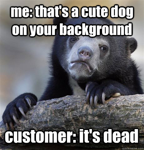 me: that's a cute dog on your background customer: it's dead  Confession Bear