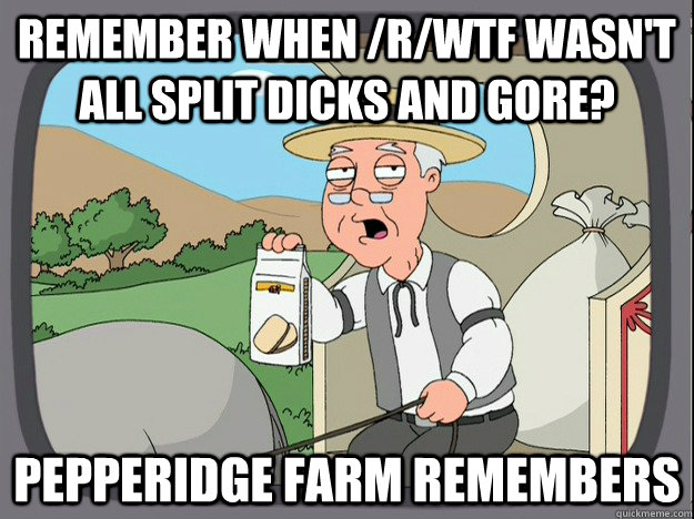 remember when /r/wtf wasn't all split dicks and gore? Pepperidge farm remembers  Pepperidge Farm Remembers