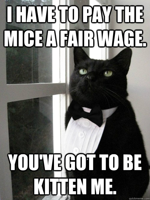 I have to pay the mice a fair wage.  You've got to be kitten me.  One Percent Cat