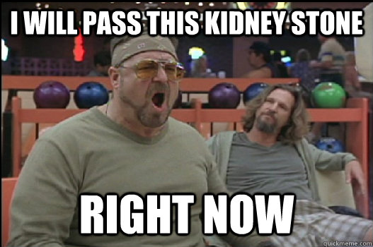 I Will pass this kidney stone RIGHT NOW - I Will pass this kidney stone RIGHT NOW  Angry Walter