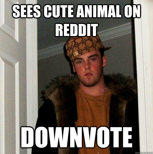 Sees cute animal on reddit downvote  Scumbag Steve