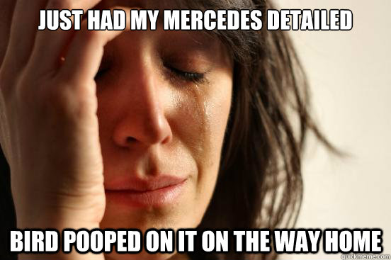 Just had my Mercedes detailed Bird pooped on it on the way home  First World Problems