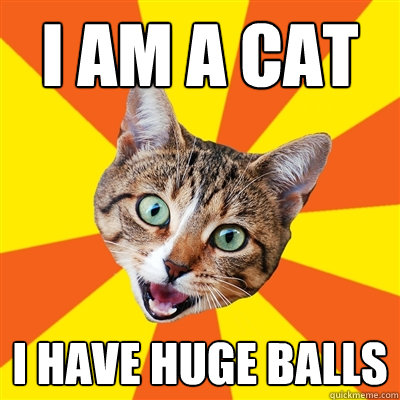 I am a cat I have huge balls
  Bad Advice Cat