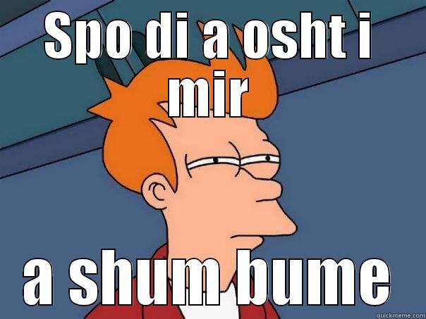 SPO DI A OSHT I MIR A SHUM BUME Futurama Fry