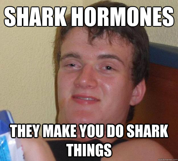 shark hormones they make you do shark things  10 Guy