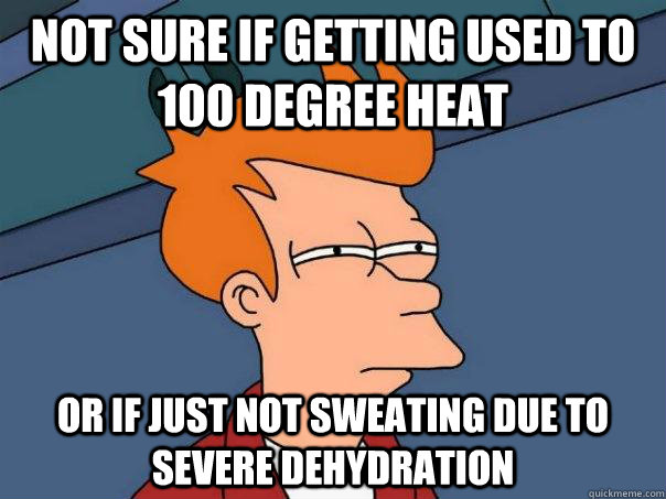 Not sure if getting used to 100 degree heat or if just not sweating due to severe dehydration - Not sure if getting used to 100 degree heat or if just not sweating due to severe dehydration  Futurama Fry