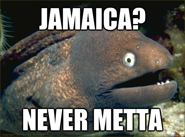 jamaica? never metta  Bad Joke Eel