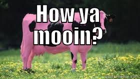 HOW YA MOOIN?  Misc