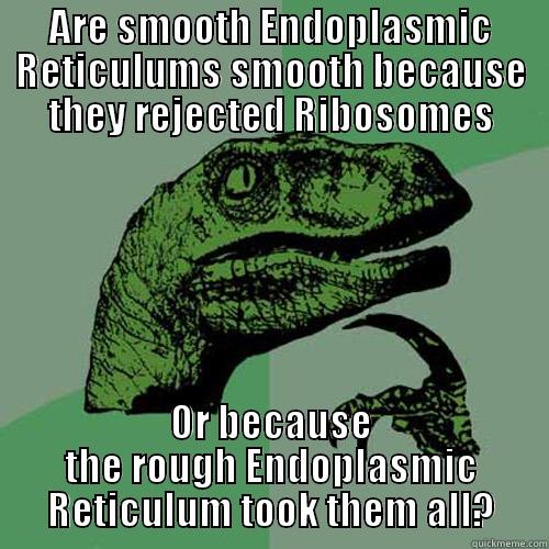 ARE SMOOTH ENDOPLASMIC RETICULUMS SMOOTH BECAUSE THEY REJECTED RIBOSOMES OR BECAUSE THE ROUGH ENDOPLASMIC RETICULUM TOOK THEM ALL? Philosoraptor