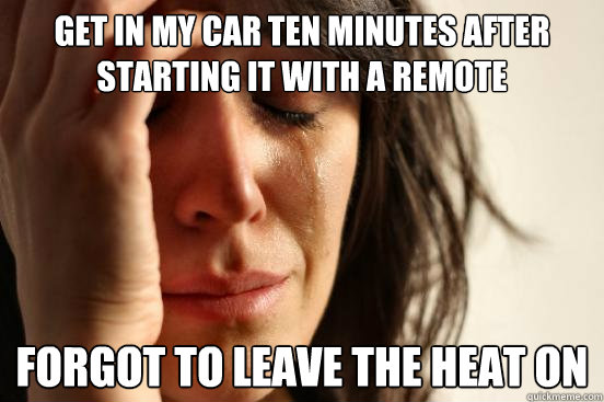 Get in my car ten minutes after starting it with a remote forgot to leave the heat on  First World Problems