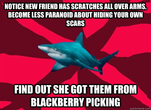 notice new friend has scratches all over arms, become less paranoid about hiding your own scars find out she got them from blackberry picking  Self-Injury Shark