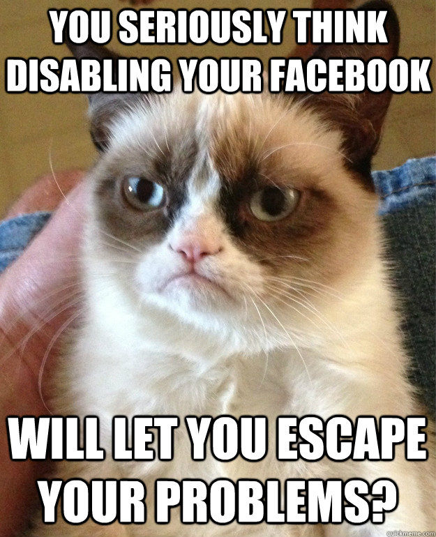 you seriously think disabling your facebook will let you escape your problems?  Grumpy Cat