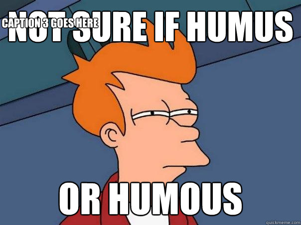 not sure if humus or humous Caption 3 goes here  Futurama Fry