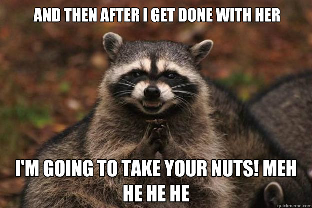 and then after I get done with her I'm going to take your nuts! Meh he he he - and then after I get done with her I'm going to take your nuts! Meh he he he  Evil Plotting Raccoon