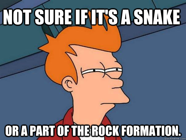 Not sure if it's a snake Or a part of the rock formation. - Not sure if it's a snake Or a part of the rock formation.  Futurama Fry