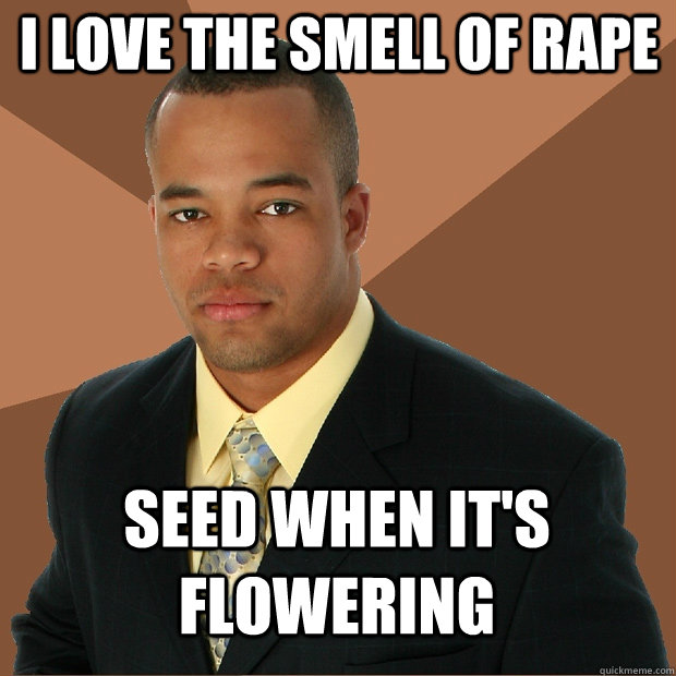 I love the smell of rape seed when it's flowering  Successful Black Man