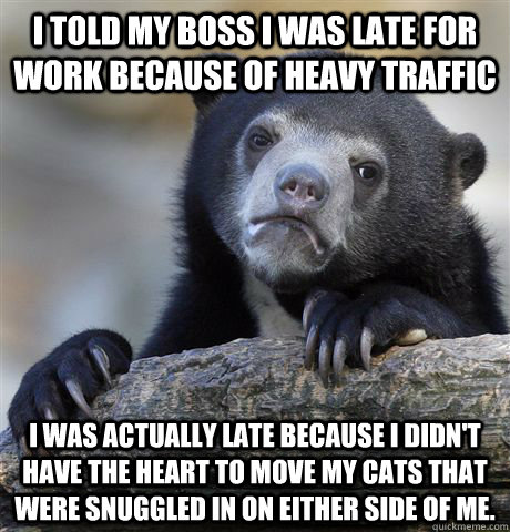 I told my boss I was late for work because of heavy traffic I was actually late because I didn't have the heart to move my cats that were snuggled in on either side of me.  Confession Bear