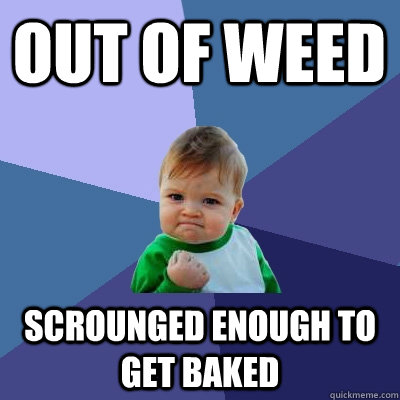 Out Of weed Scrounged enough to get baked  Success Kid