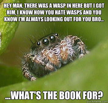 hey man, there was a wasp in here but i got him, i know how you hate wasps and you know i'm always looking out for you bro... ...what's the book for?  Misunderstood Spider