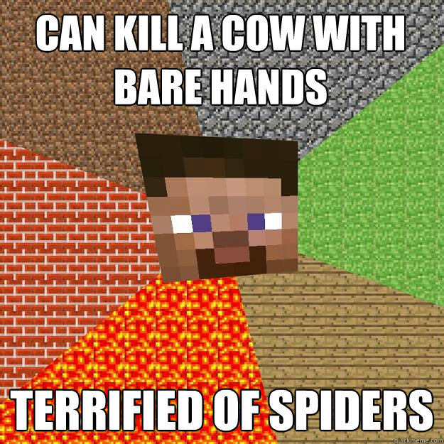 Can kill a cow with bare hands terrified of spiders  Minecraft