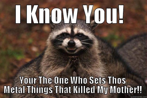 Racoon Is Evil - I KNOW YOU!  YOUR THE ONE WHO SETS THOS METAL THINGS THAT KILLED MY MOTHER!! Evil Plotting Raccoon