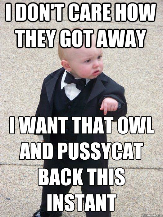 I don't care how they got away I want that owl and pussycat back this instant  Baby Godfather