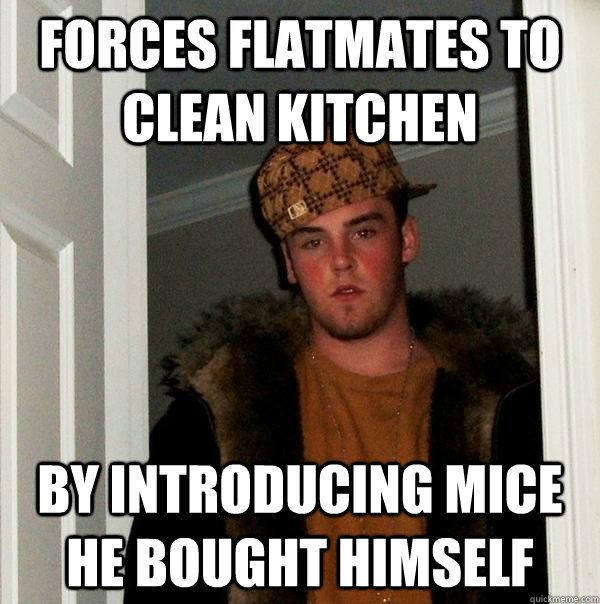 Forces flatmates to clean kitchen by introducing mice he bought himself  Scumbag Steve