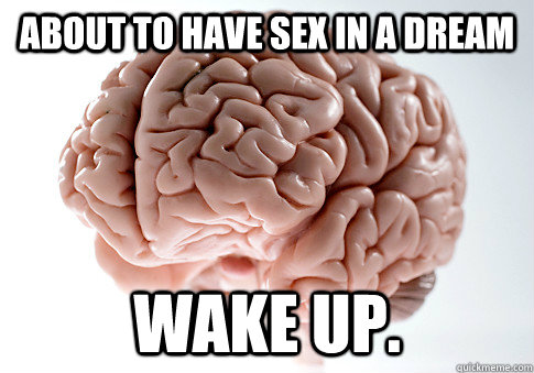 About to have sex in a dream Wake up.  Scumbag Brain