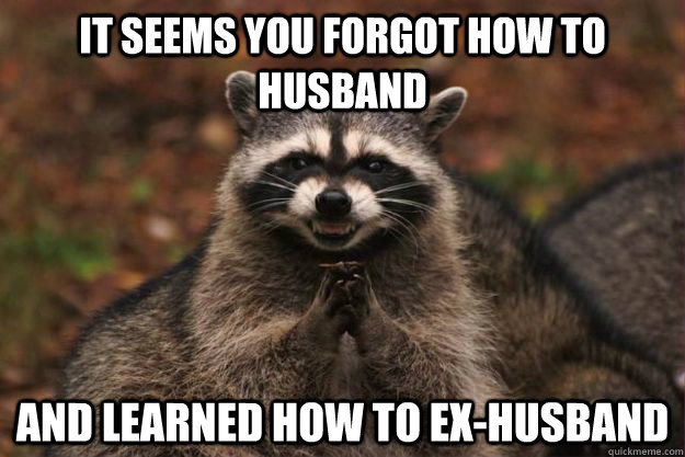 it seems you Forgot how to husband and learned how to ex-husband - it seems you Forgot how to husband and learned how to ex-husband  Evil Plotting Raccoon