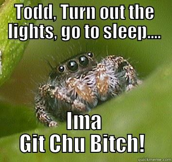 TODD, TURN OUT THE LIGHTS, GO TO SLEEP.... IMA GIT CHU BITCH!  Misunderstood Spider