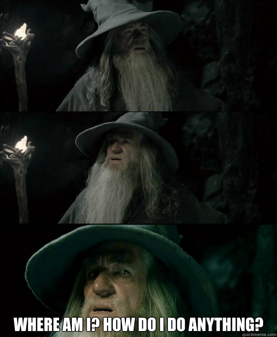  Where am I? How do I do anything?
  Confused Gandalf