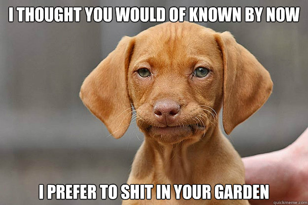 I thought you would of known by now I prefer to shit in your garden  Disappointed Puppy