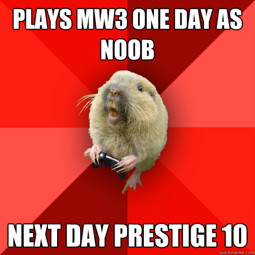 PLAYS MW3 ONE DAY AS NOOB NEXT DAY PRESTIGE 10  Gaming Gopher